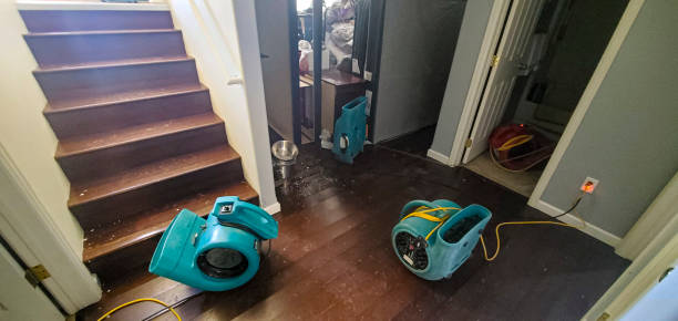 Water damage restoration mold remediation in Wild Peach Village, TX